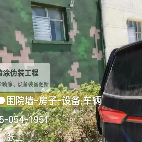安阳数码迷彩漆施工